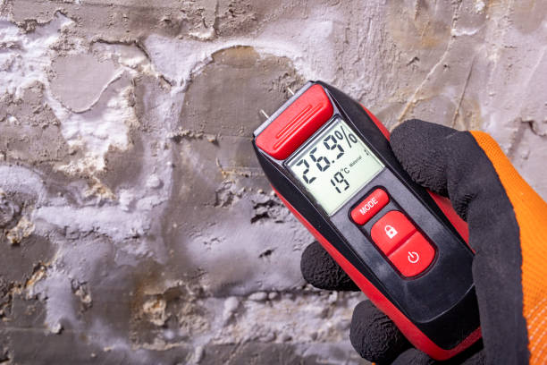 Best Mold Testing and Removal  in Marshalltown, IA