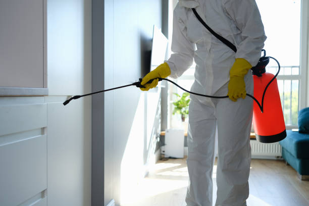 Best Mold Inspection  in Marshalltown, IA