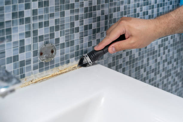 Best Mold Remediation  in Marshalltown, IA