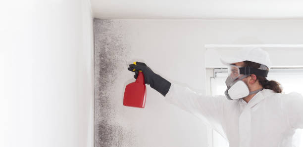Mold Removal Process in Marshalltown, IA