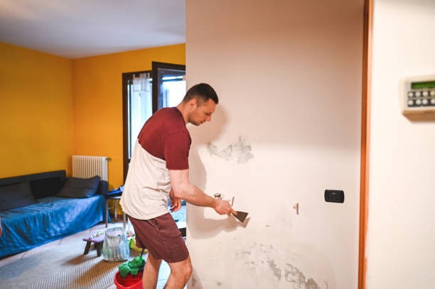 Best Mold Cleaning Services  in Marshalltown, IA
